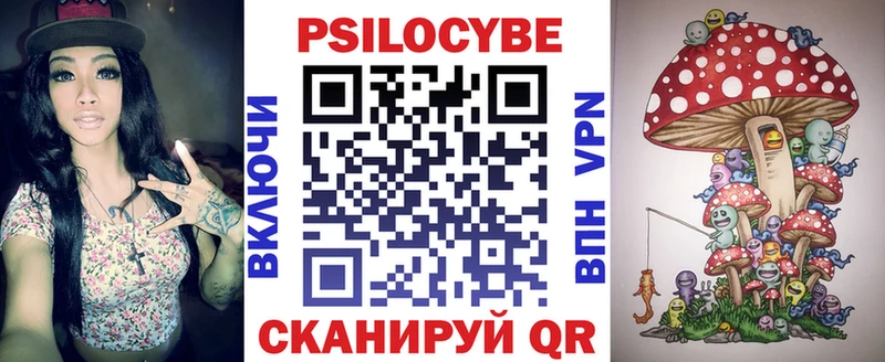 Псилоцибиновые грибы Psilocybe Нолинск