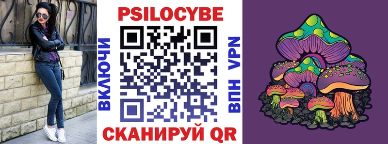 Псилоцибиновые грибы Cubensis  Нолинск 